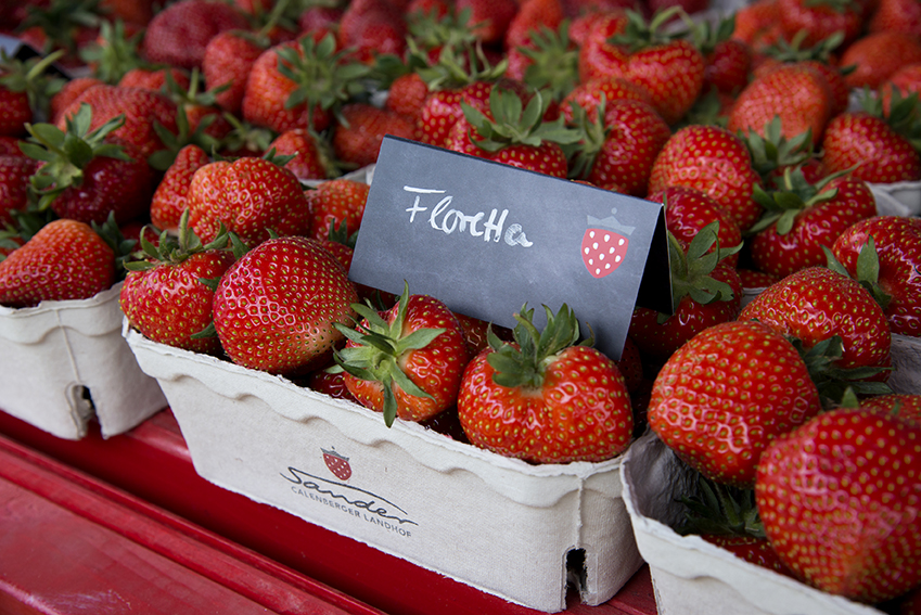 Erdbeeren Floretta