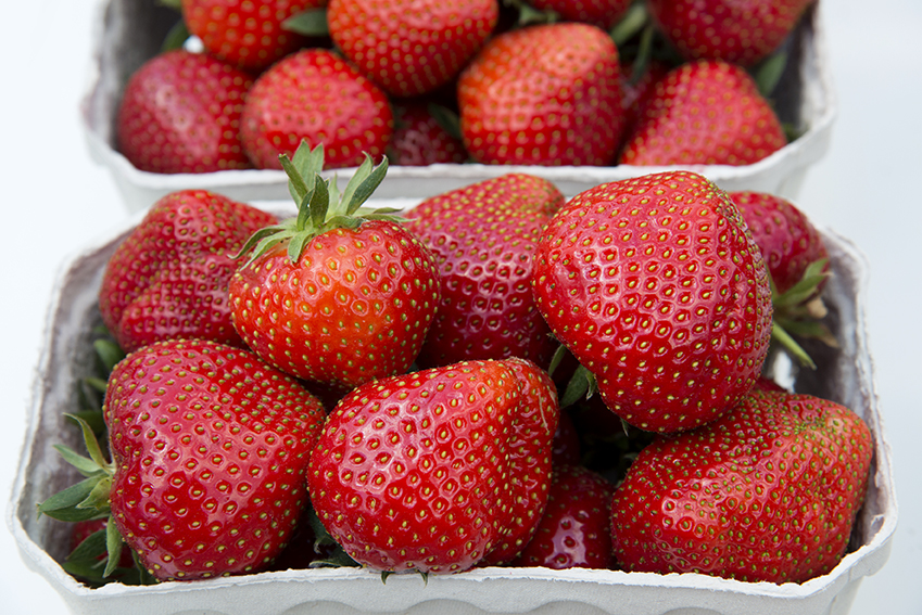 Erdbeeren