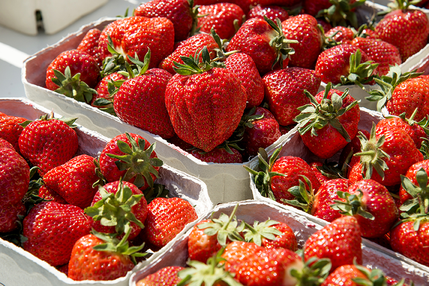 Erdbeeren