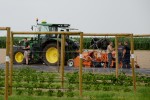 Hombeerfeld