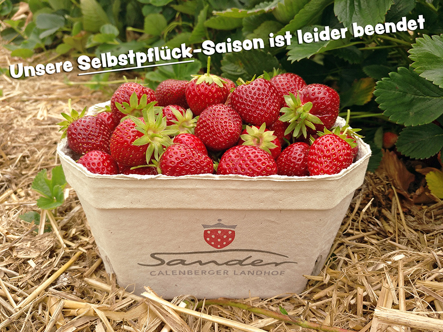 selbstpfluecke_vorbei