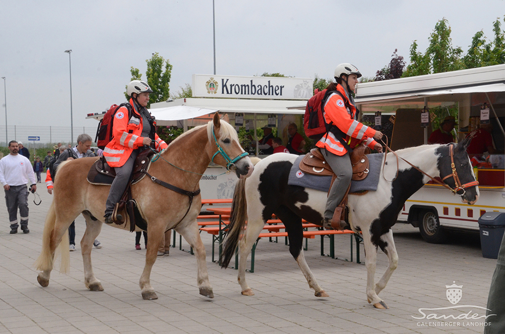 Erdbeerfest_47