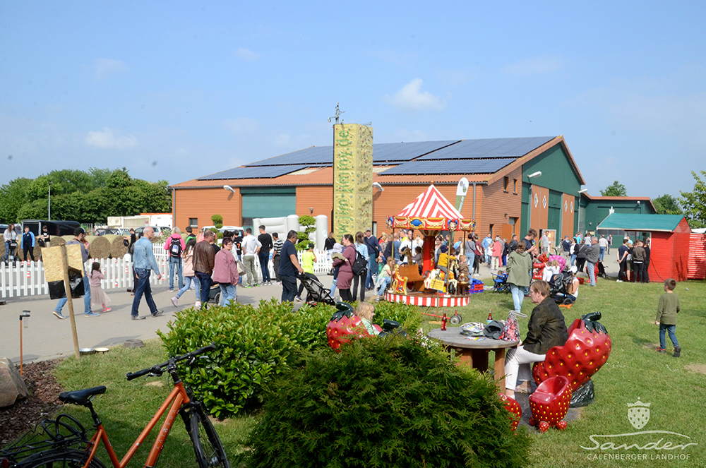Erdbeerfest_33