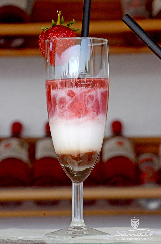 Erdbeerfest_29