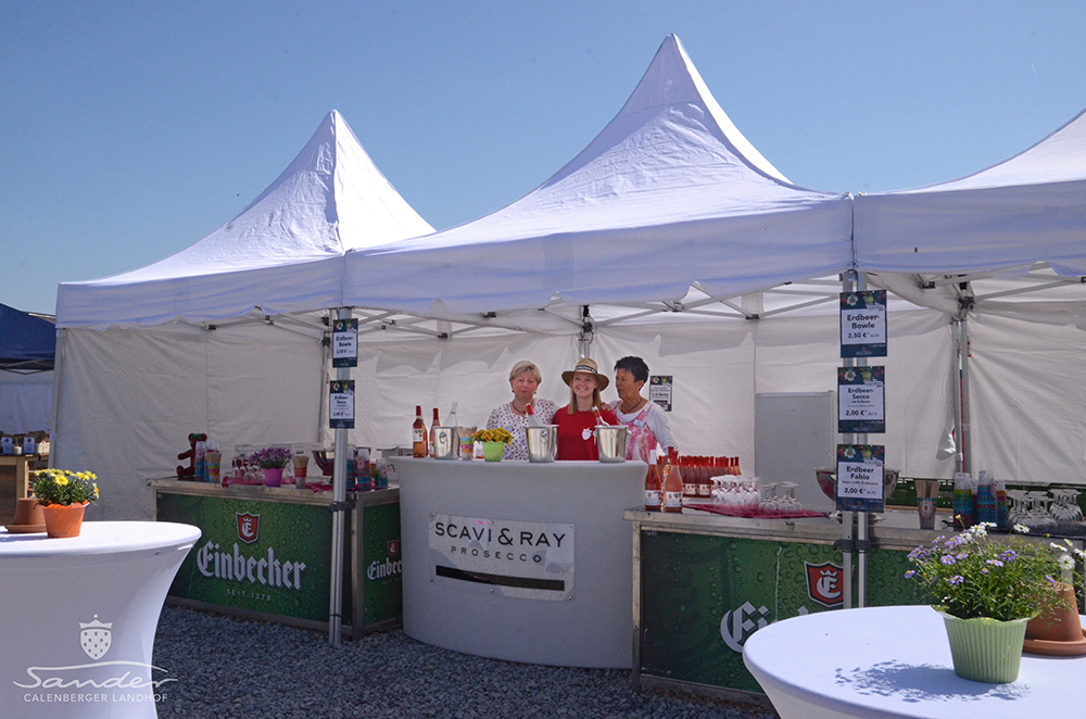 Erdbeerfest_09