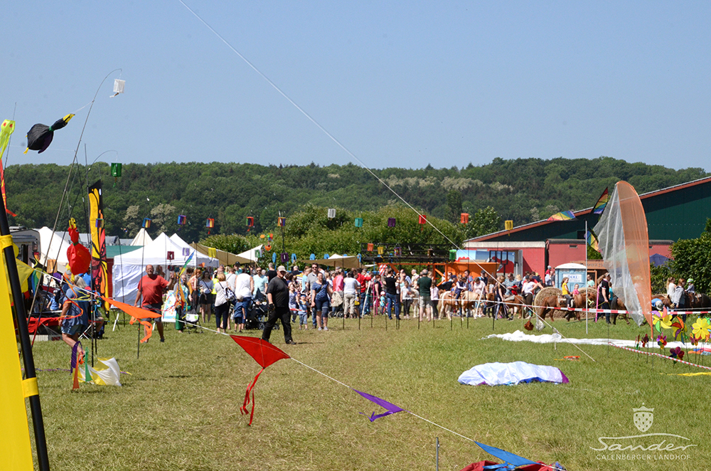 Erdbeerfest_04