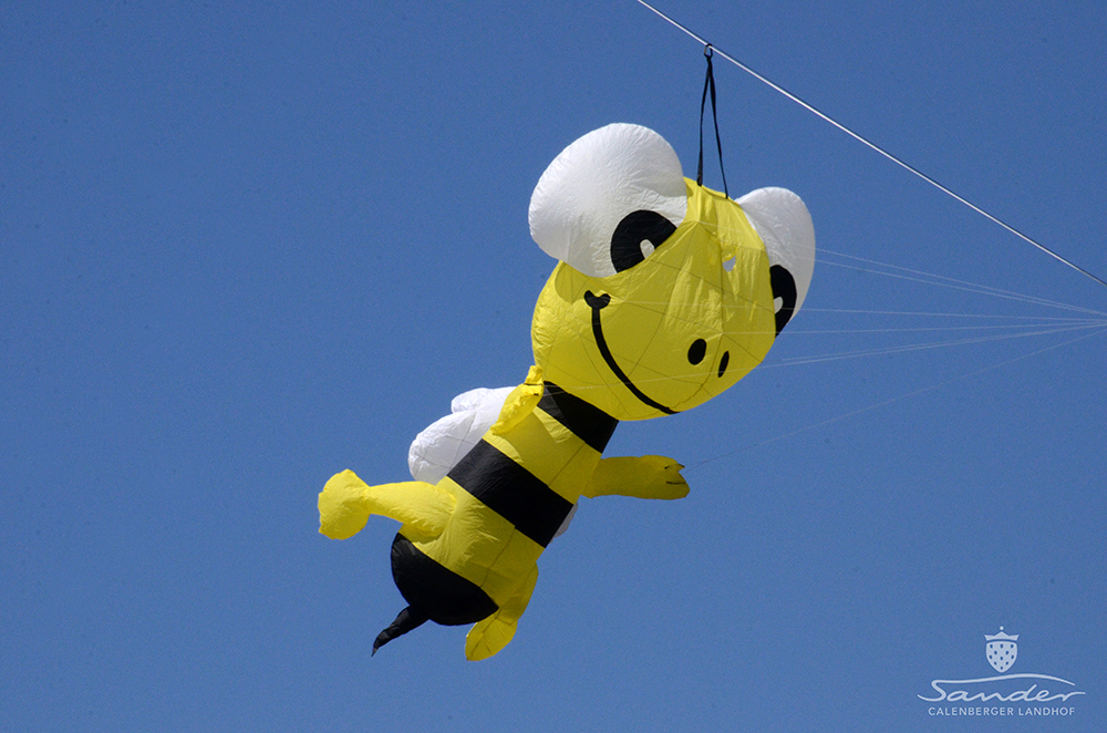 Erdbeerfest_03