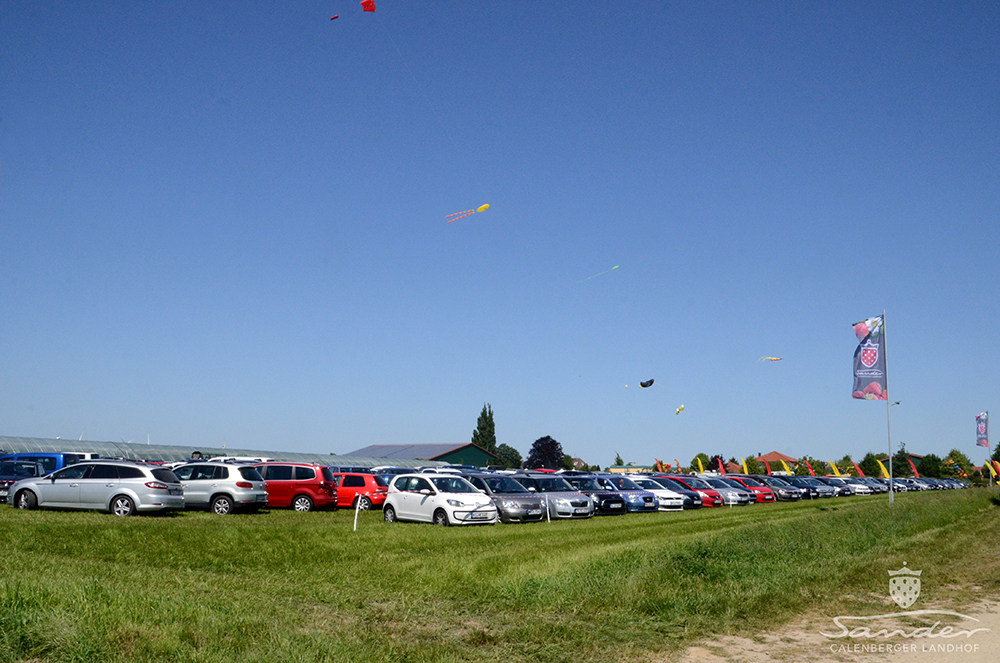 Erdbeerfest_02