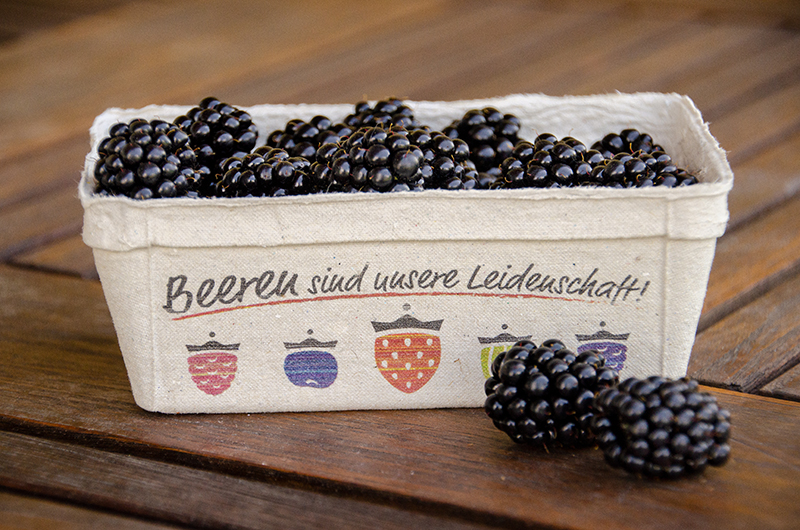 brombeeren
