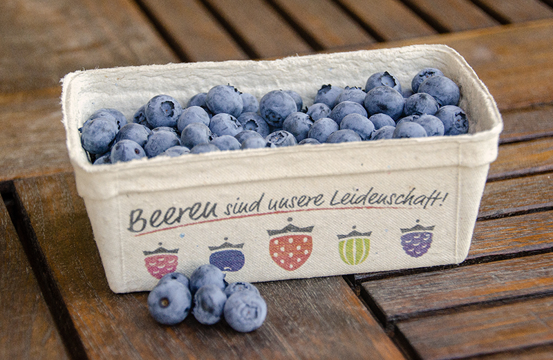 heidelbeeren