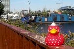 maike_s_6