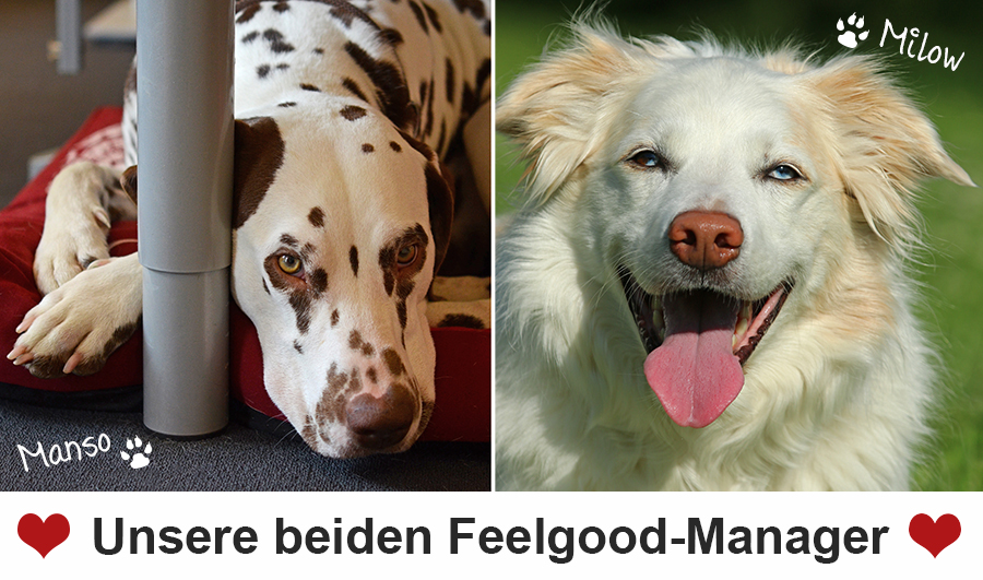 feelgood-manager