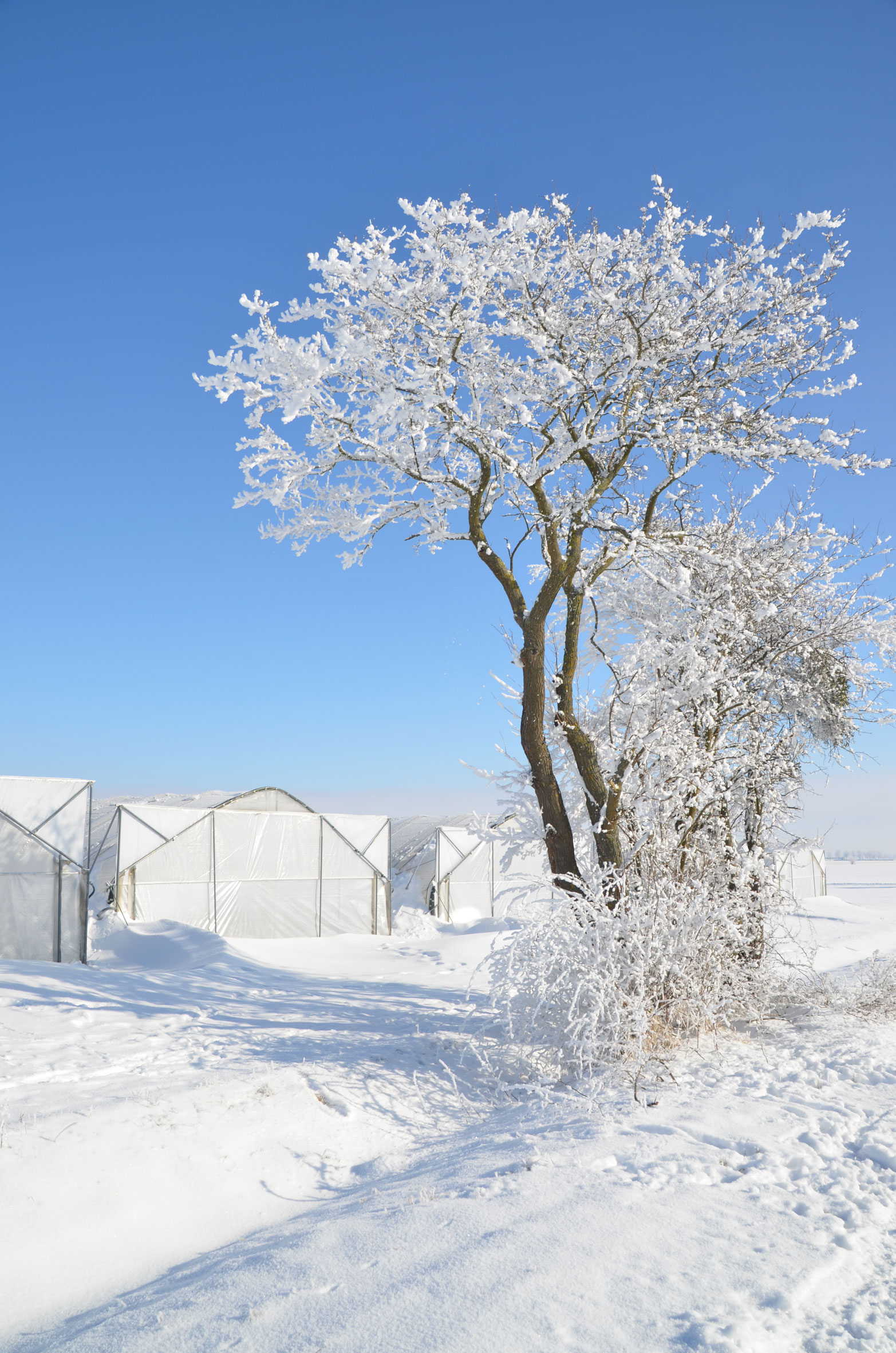 sander_schnee_0051_news