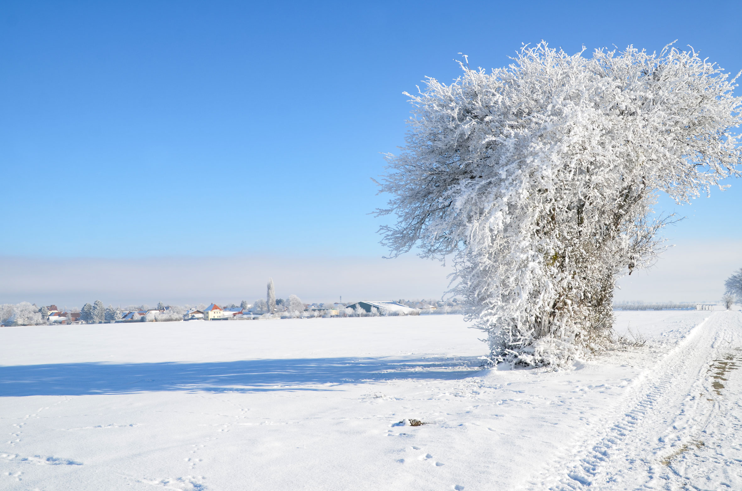 sander_schnee_0077_news