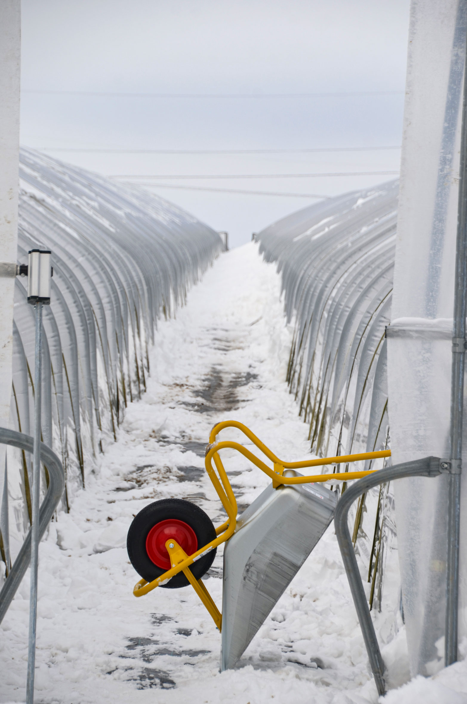 sander_schnee_0166_news