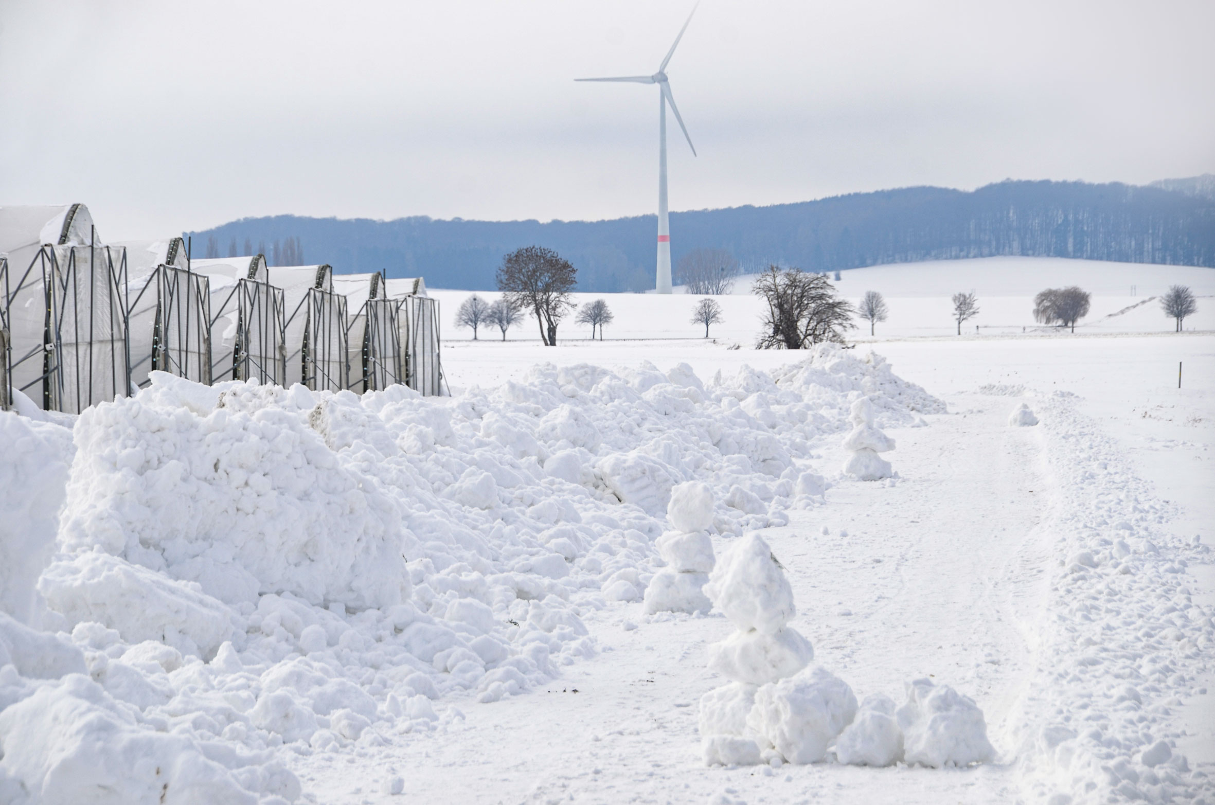 sander_schnee_0185_news
