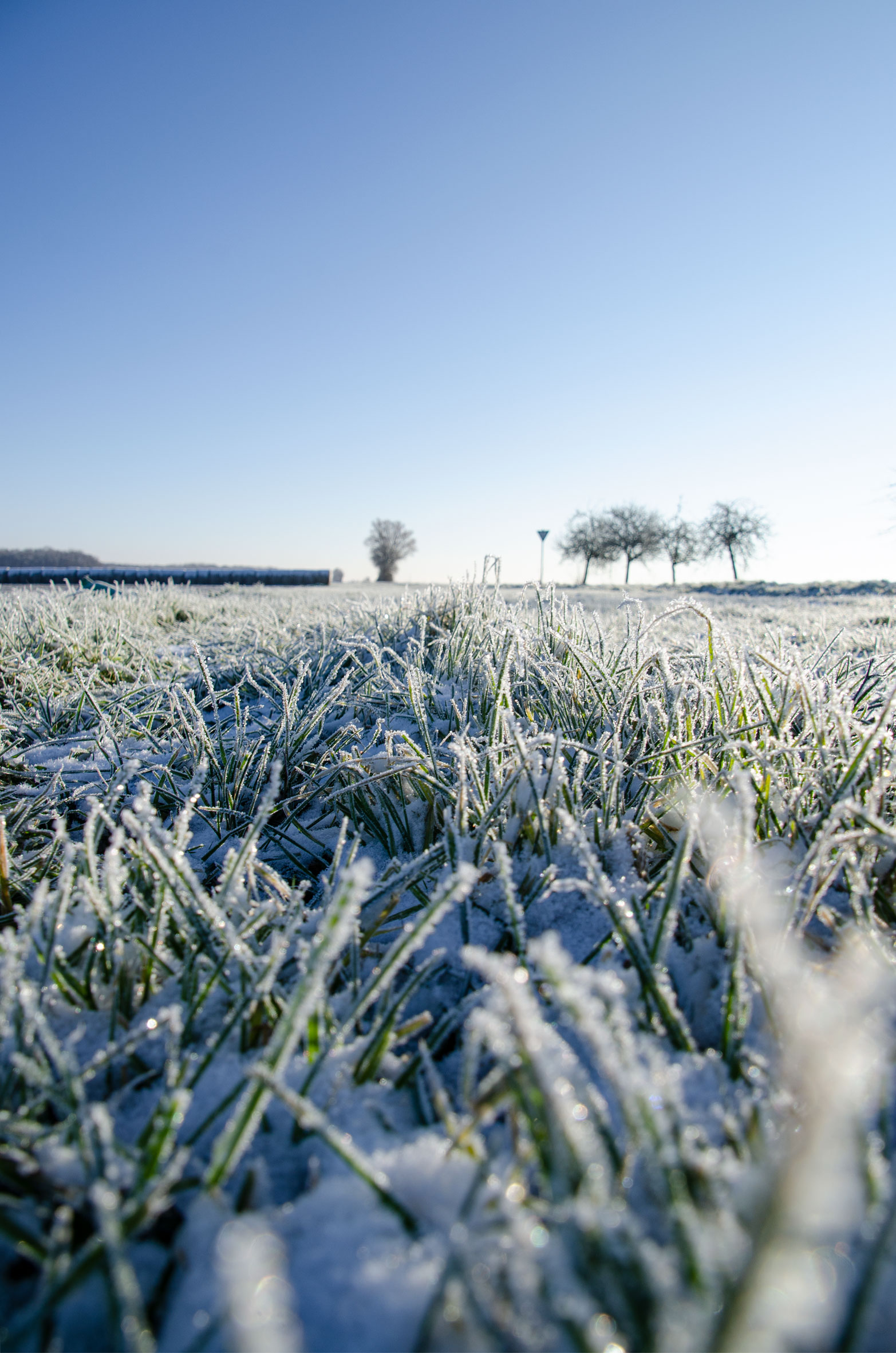 sander_schnee_9623_news