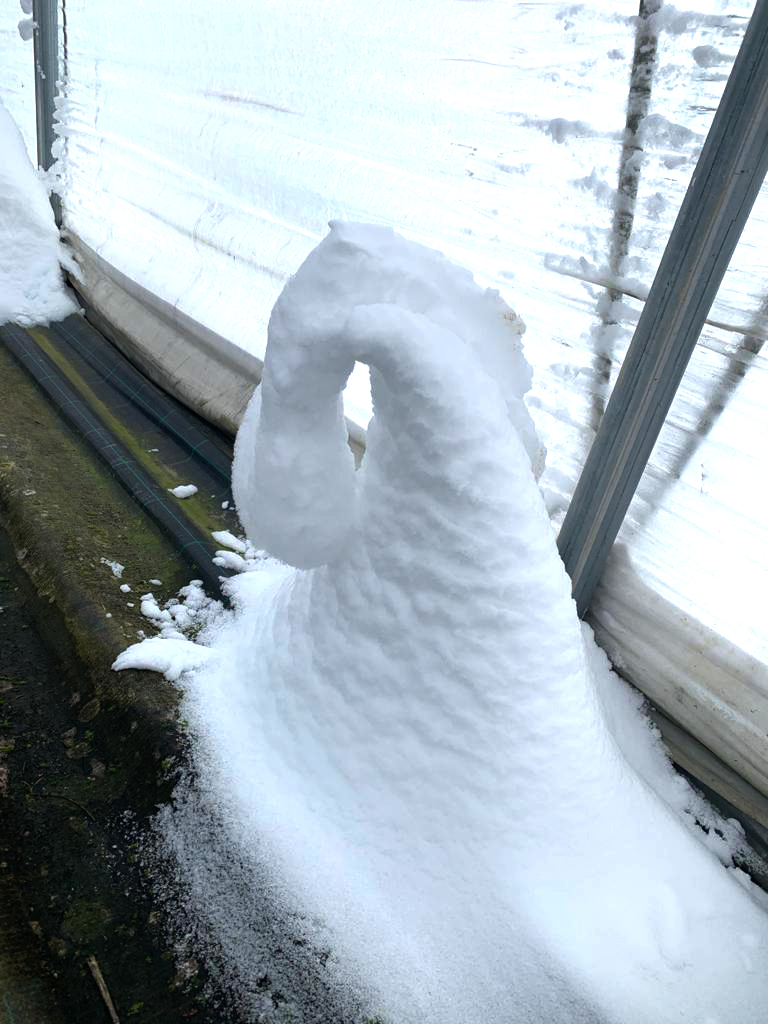 schnee-1