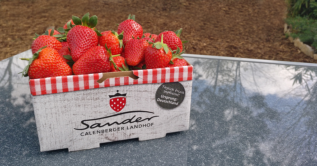 sander_erdbeeren2_1200x628px
