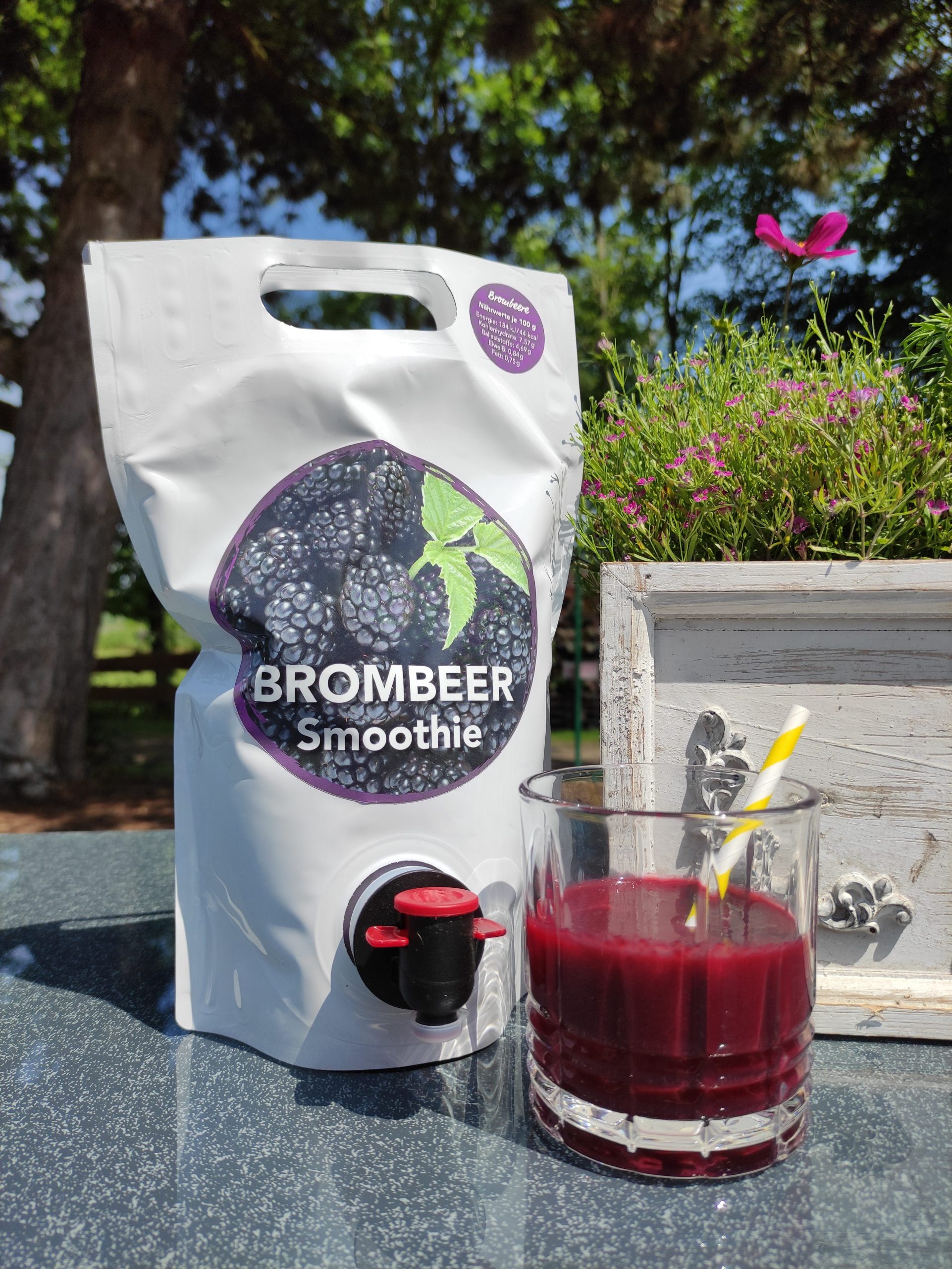 Brombeer-Smoothie