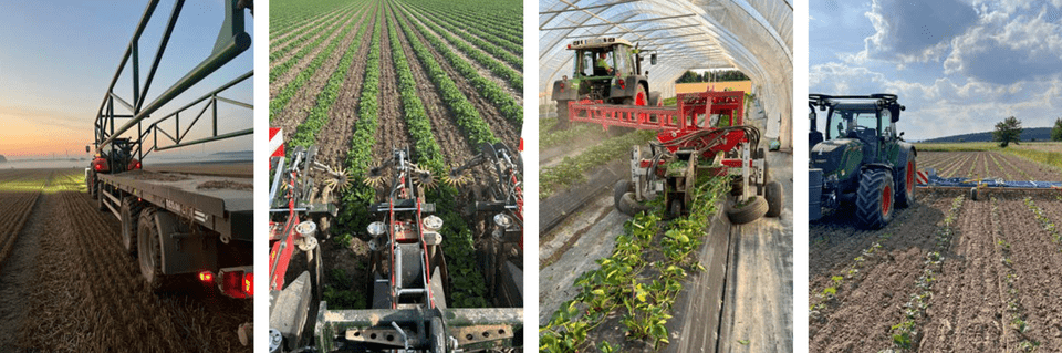Foto von Erdbeerhof Sander - Landwirtschaftlicher Mitarbeiter (m/w/d) gesucht - 2024