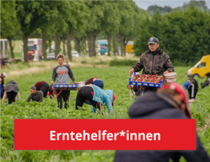 Bild von Sander Erdbeerhof