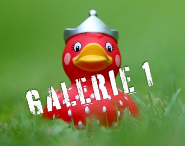 Enten-Aktion 1