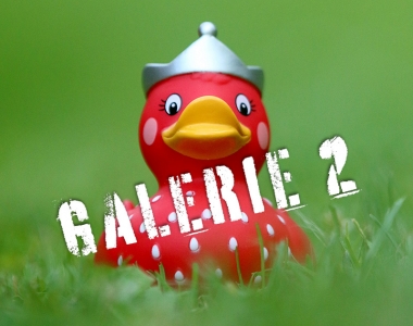 Enten-Aktion 2