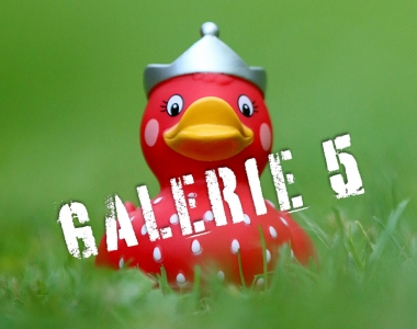 Enten-Aktion 5